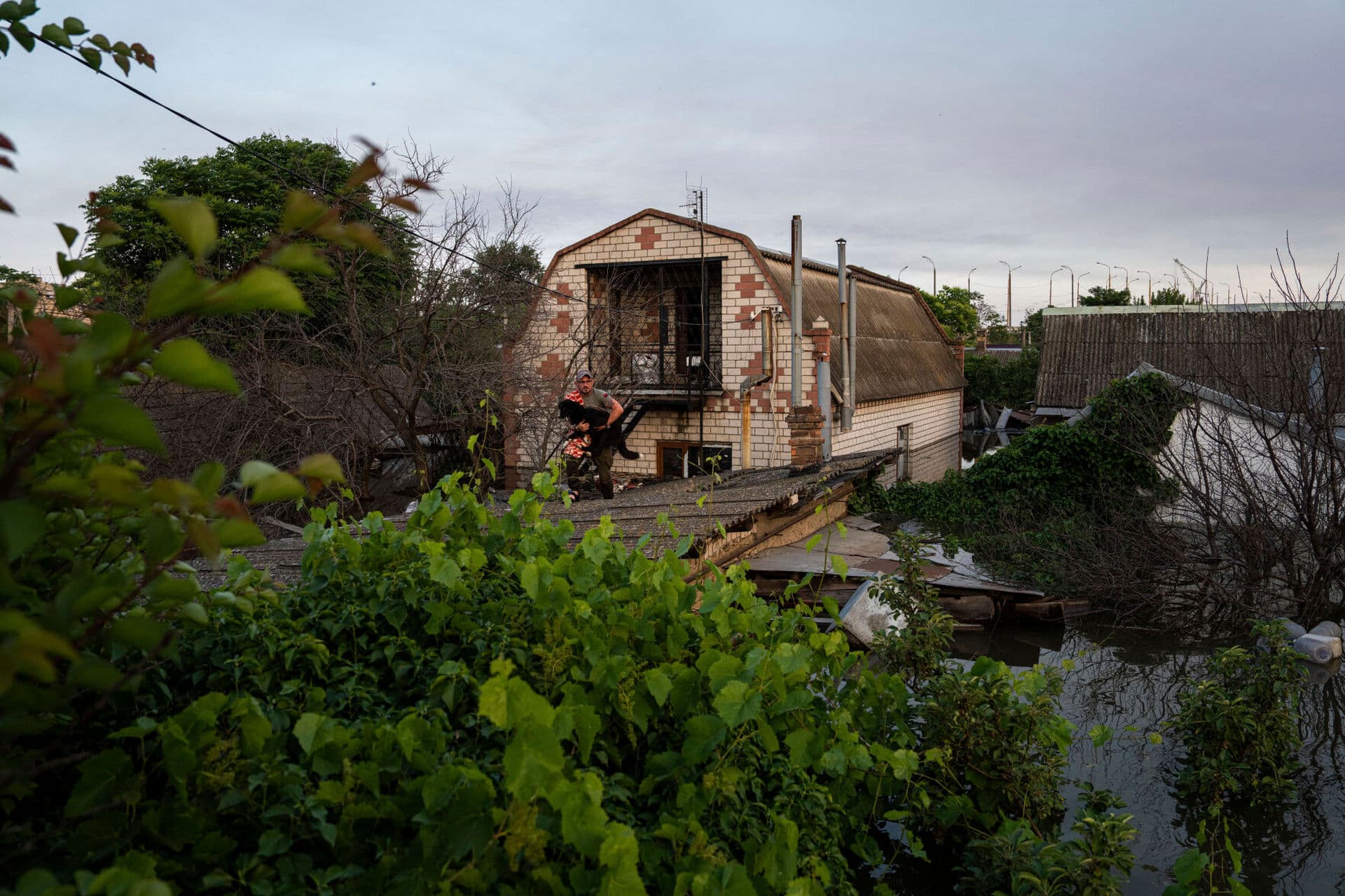 A volunteer evacuates a dog from the roof of a house of a flooded neighborhood in Kherson