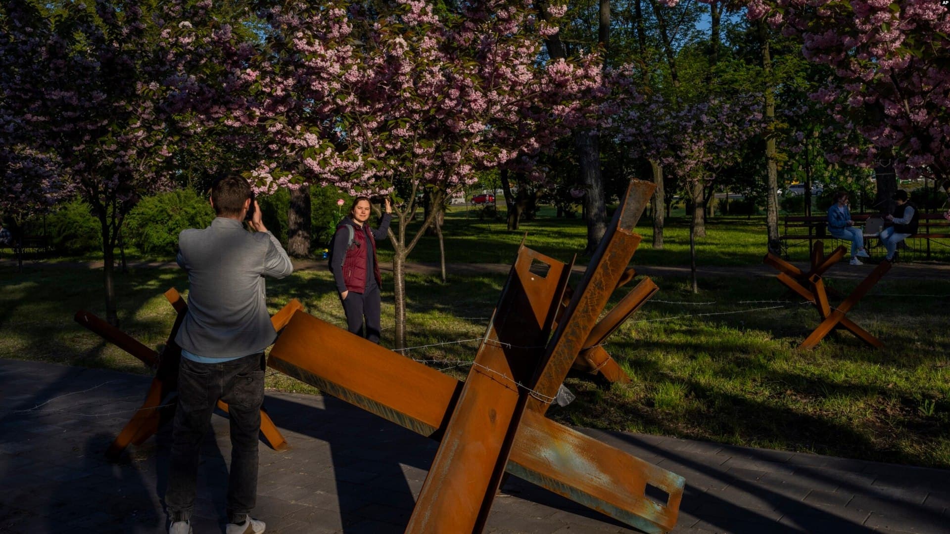 People take pictures next to flowering trees and anti-tank hedgehogs in a park in Kyiv