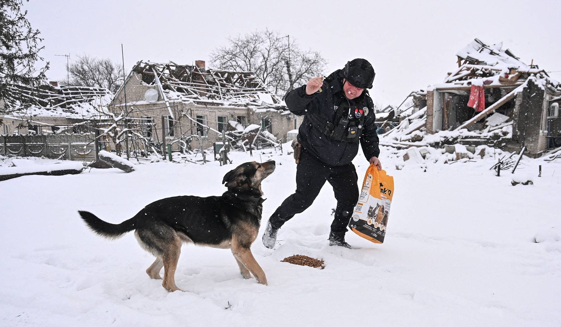 A Ukrainian police officer feeds a dog in the front line village of Dolynka