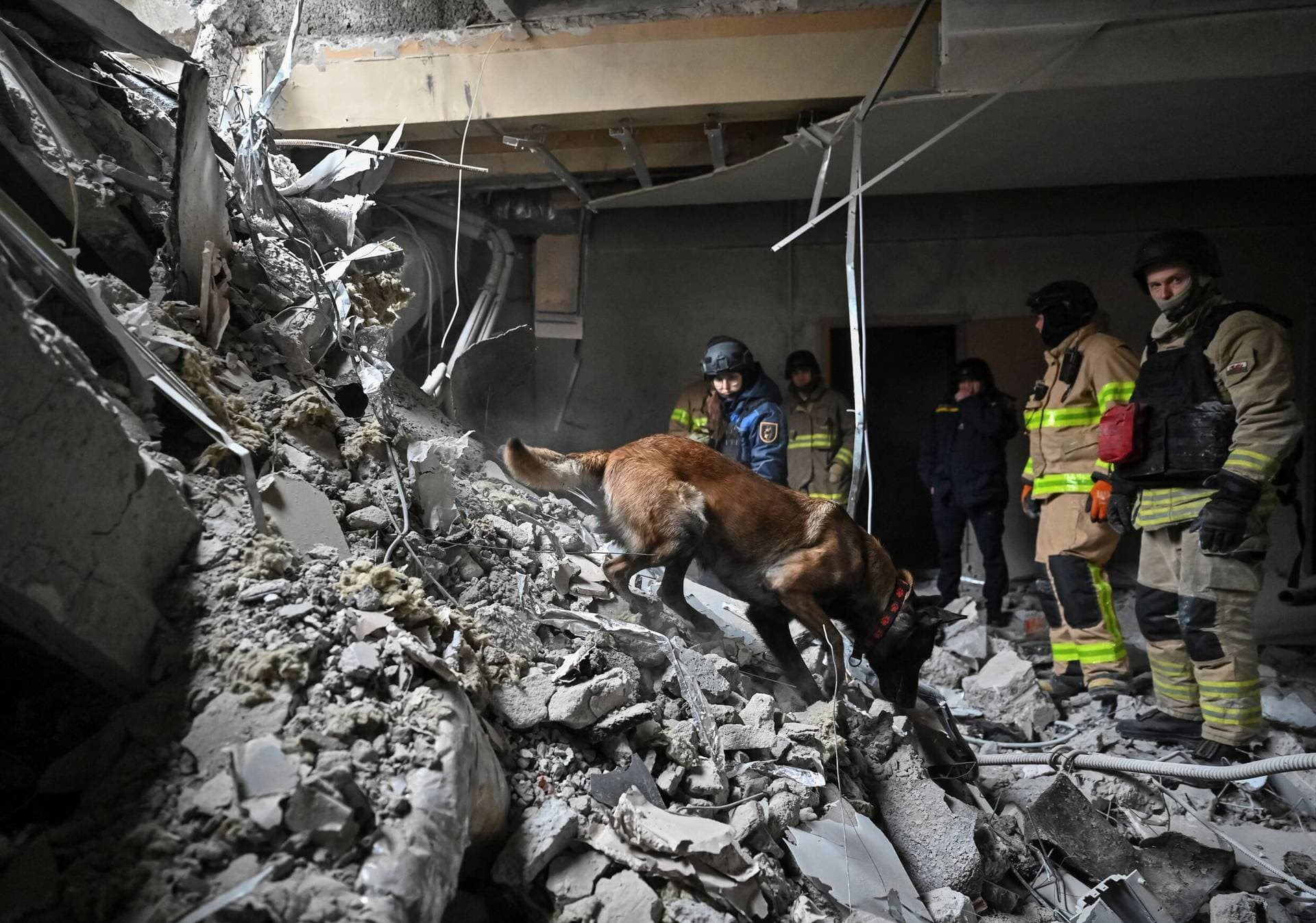 Rescuers work with a dog at the site where a building was heavily damaged by yesterday's Russian missile strike in Zaporizhzhia